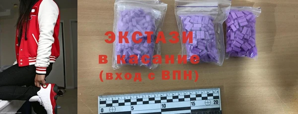 стаф Вязьма