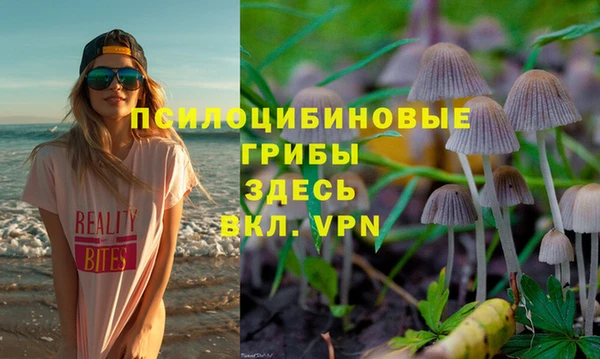 дживик Алзамай