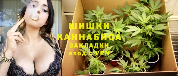 бошки Арсеньев