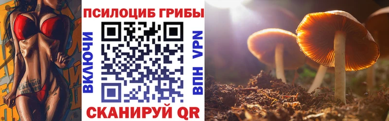 сайты даркнета как зайти  Сусуман  Псилоцибиновые грибы Magic Shrooms 