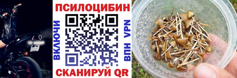 Псилоцибиновые грибы MAGIC MUSHROOMS Сусуман